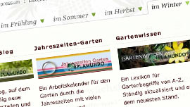 Webdesign Regensburg Suchmaschinenoptimierung München SEO Web-Entwicklung